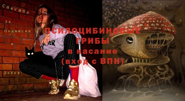 мефедрон мука Снежногорск