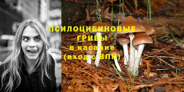 молекула духа Семикаракорск